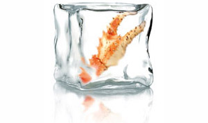 Producteurs de Produits de la mer