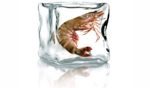 Producteurs de Produits de la mer