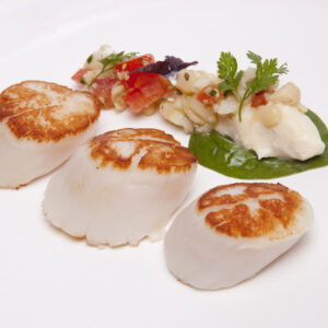 Scallops