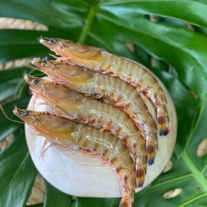 Frozen wild prawns from Madagascar – MAKAMBA