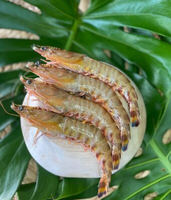 Crevettes entières crues sauvages de Madagascar surgelées
