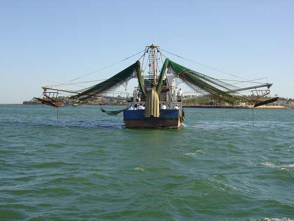 Bateau de pêche crevettes à MADAGASCAR surgelés-FRESHPACK