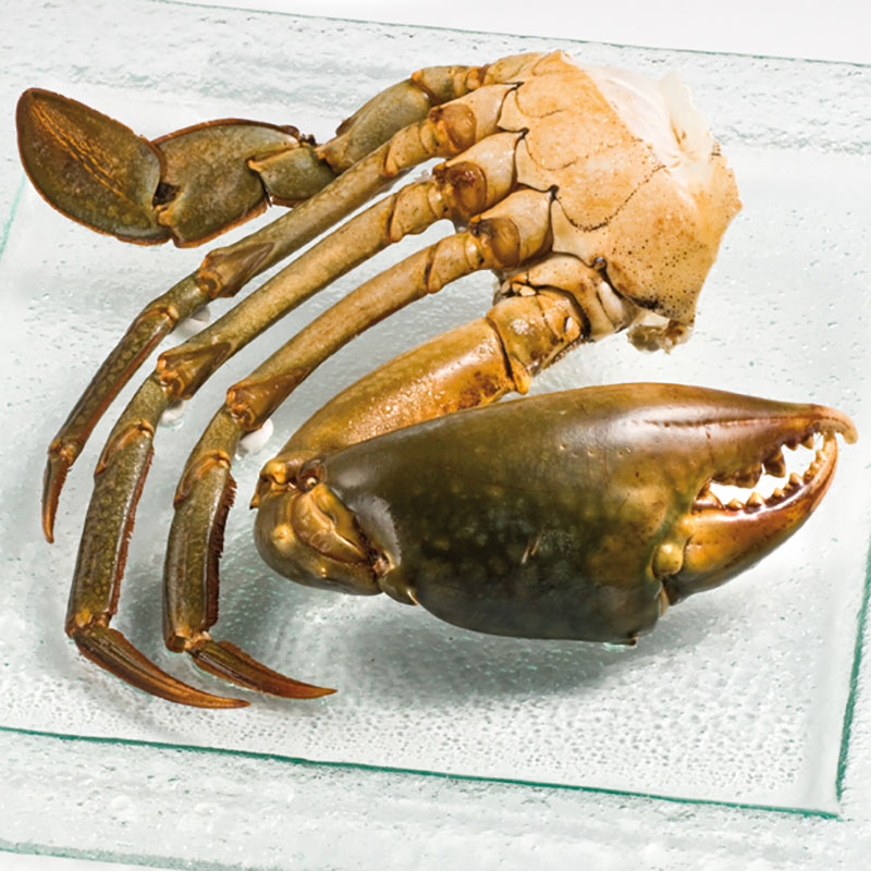Crabe de mangrove surgelé Freshpack