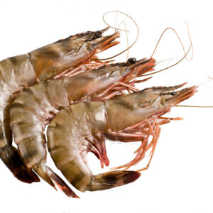Frozen HEAD ON WILD PINK PRAWNS-Freshpack