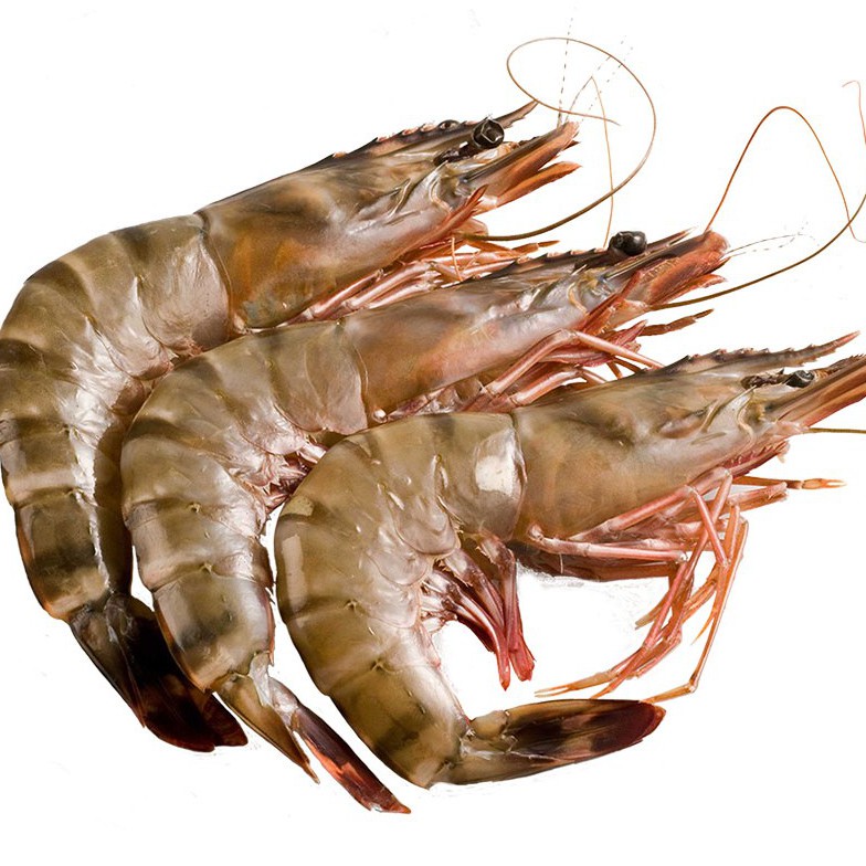 Crevettes sauvages de Madagascar surgelées -Freshpack
