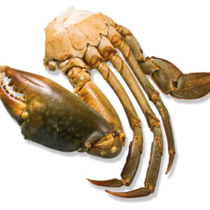 Frozen MANGROVE CRAB SECTIONS-Freshpack