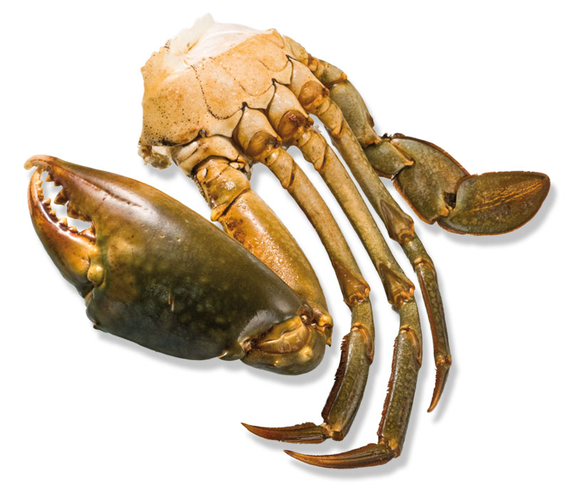 Frozen MANGROVE CRAB SECTIONS-Freshpack