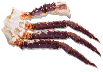 KING Crab det