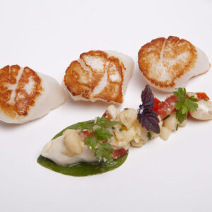 Frozen USA SCALLOPS-Freshpack