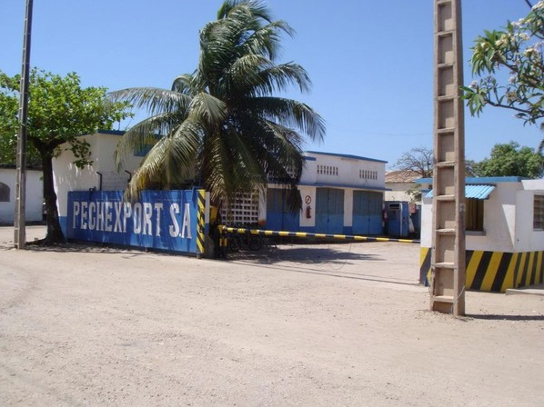 Notre usine PECHEXPORT à Mahajunga surgelés (Madagascar)-FRESHPACK