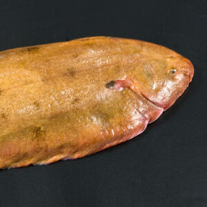 Sole entière surgelée Freshpack