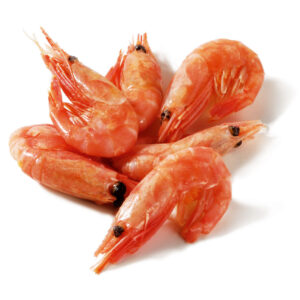 coldwater shrimps head on-freshpack
