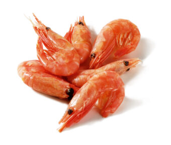 coldwater shrimps head on-freshpack