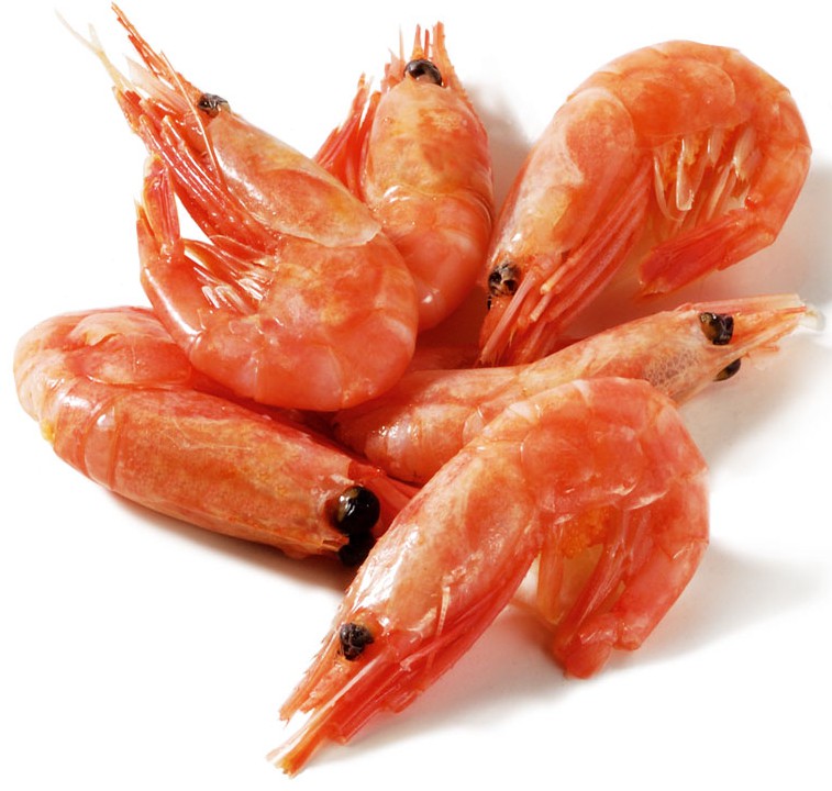 Importateur Crevettes entières cuites nordiques surgelées - Freshpack