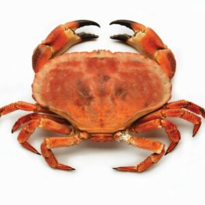 crabe tourteau surgelé-freshpack