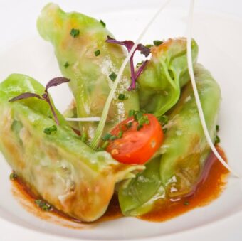 gyoza légume pâte verte surgelé-freshpack