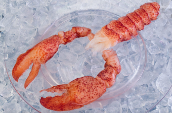 Chair de homard cru et décortiqué