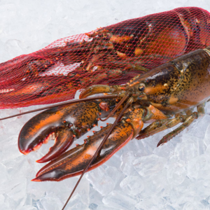 Raw lobster whole netted