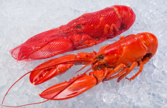 Cooked Lobster Whole Netted
