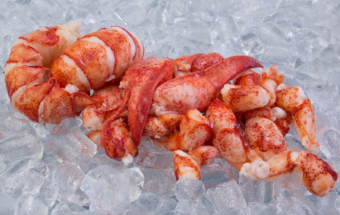 Morceaux entiers de queue, pinces et jointures de homard