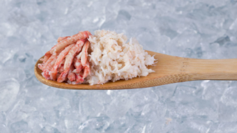 Frozen lobster body and leg meat