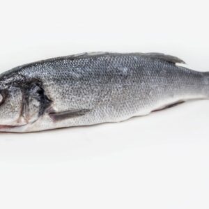 Bar entier vide ecaillé cru surgelé | Freshpack