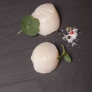Frozen scallop from France