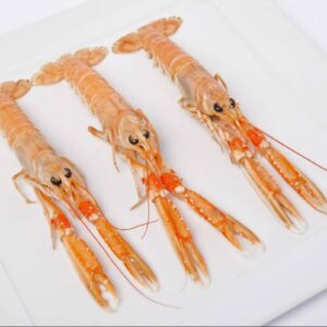 Langoustine surgelée | Freshpack