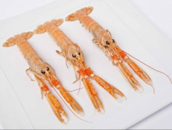 Langoustine surgelée | Freshpack