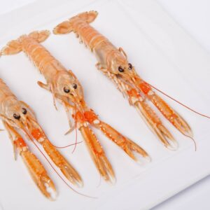 Langoustines