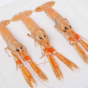 Langoustines