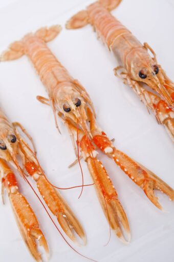 Langoustine surgelée | Freshpack