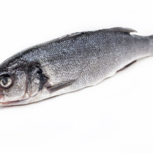 Whole sea bass, farmed, gutted, scaled, raw, deep-frozen