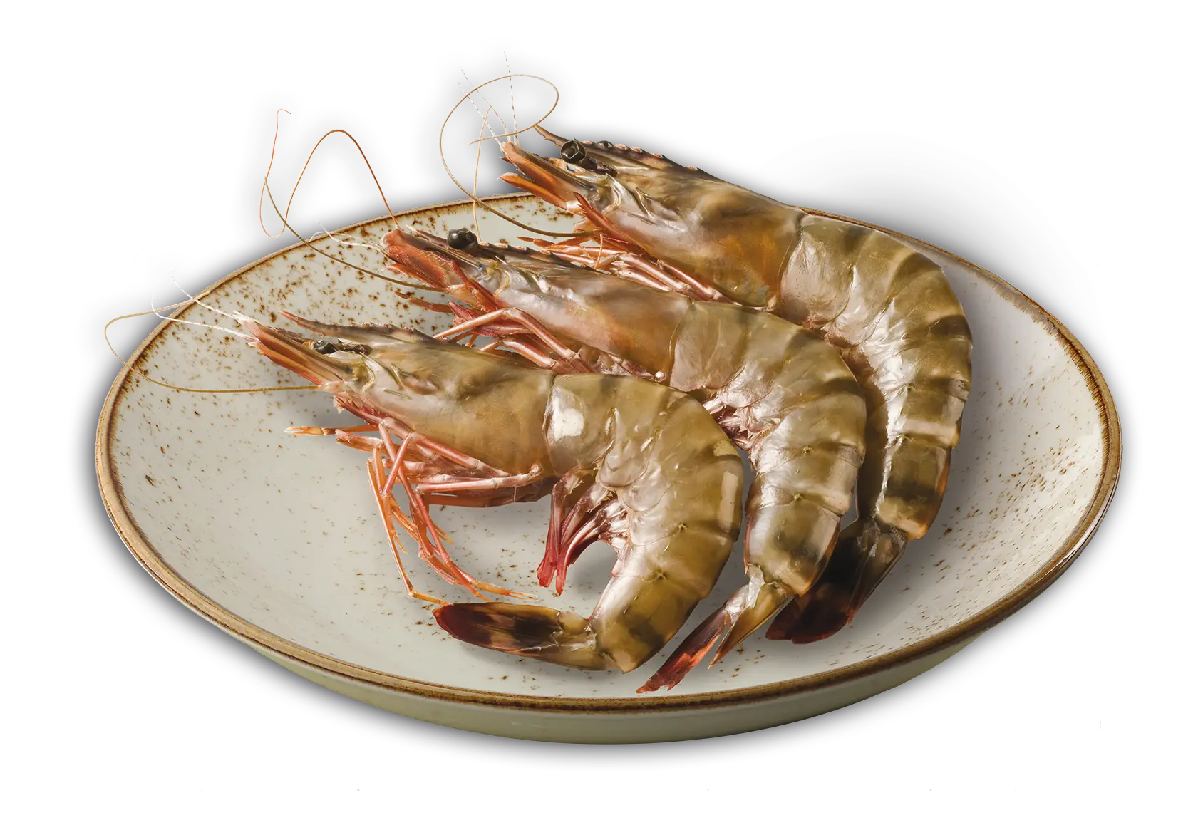 Crevettes Madagascar-2