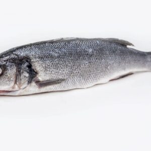 Bar entier vide ecaillé cru surgelé|Freshpack