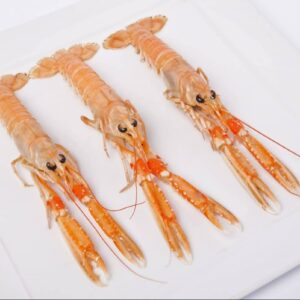 Langoustine surgelée|Freshpack