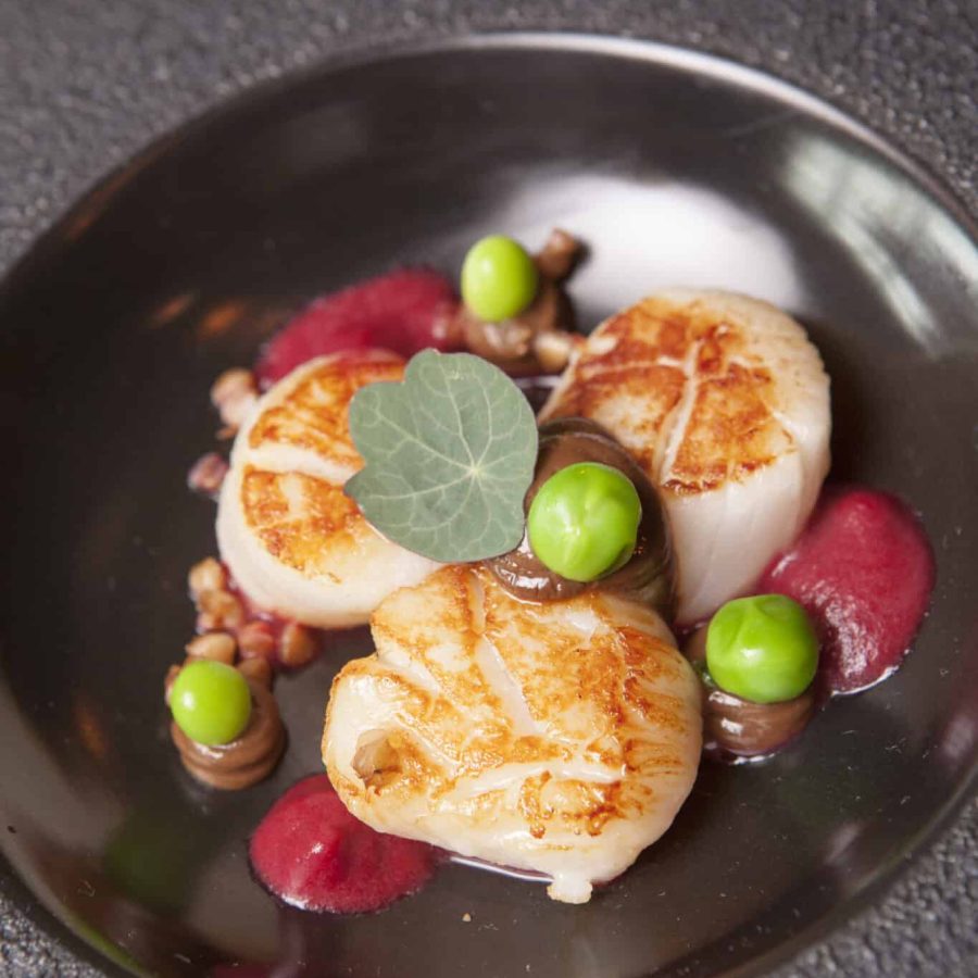 Noix de St Jacques Francaises