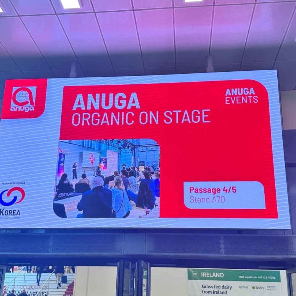 TKPG65291-e1760510122982